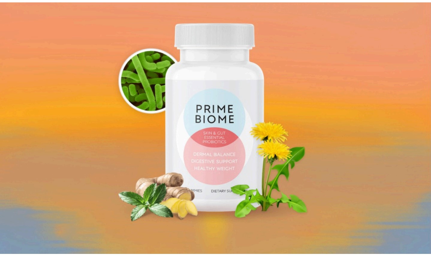 primebiome reviews